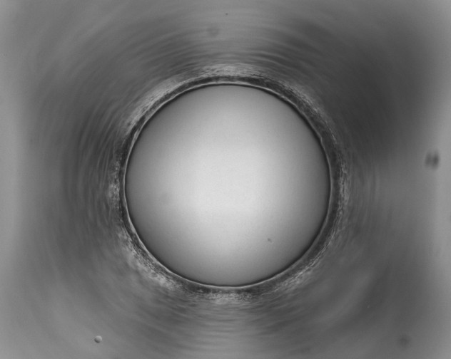 X0000114991025200911091330