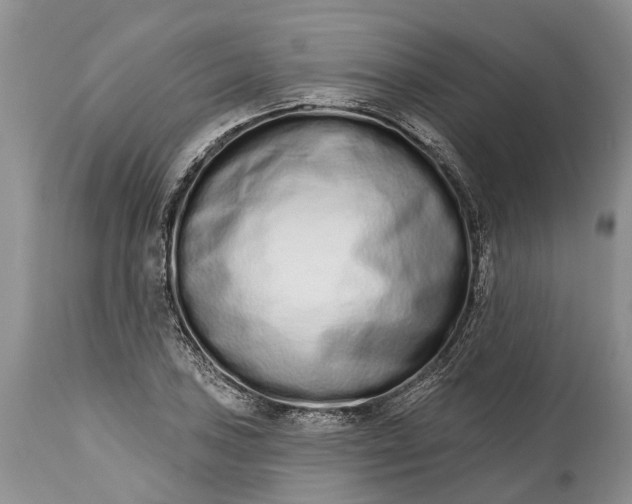 X0000114991027200911091330