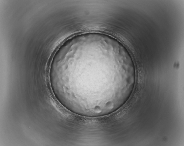 X0000114991031200911091330