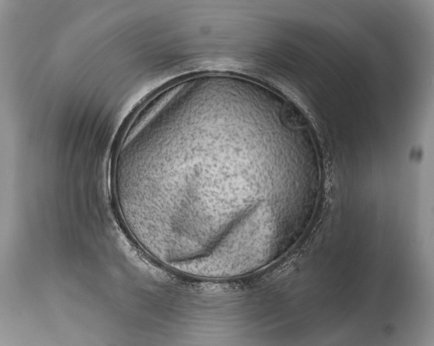 X0000114991032200911091330