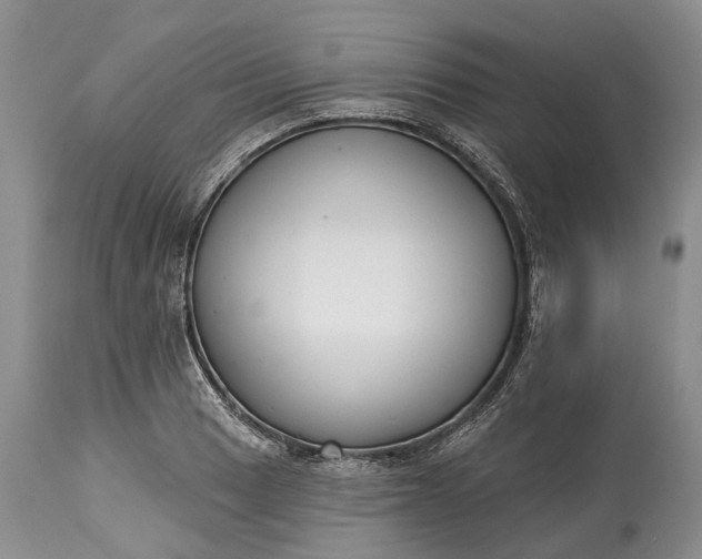 X0000114991033200911091330
