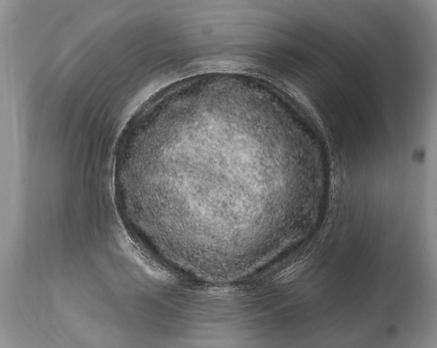 X0000114991035200911091330