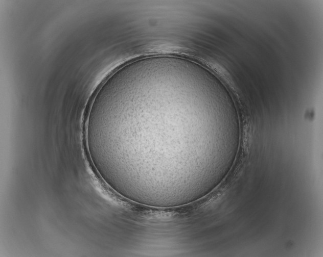 X0000114991039200911091330