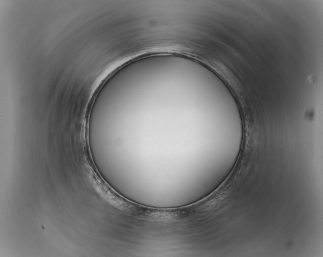 X0000114991044200911091330