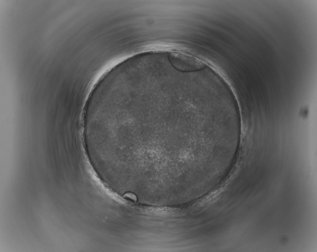 X0000114991045200911091330