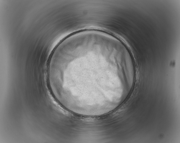 X0000114991048200911091330