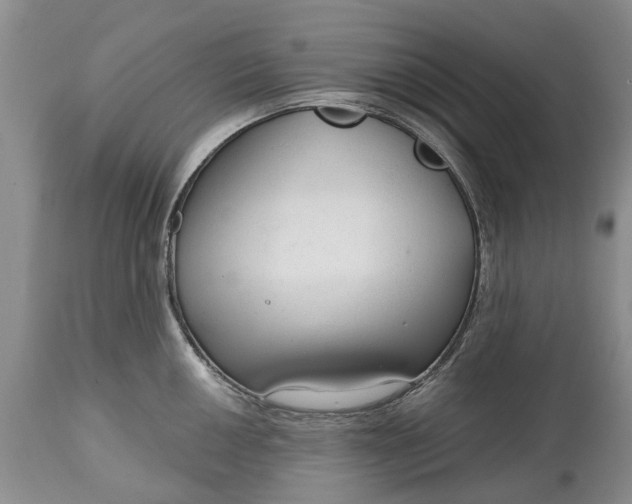 X0000114991050200911091330