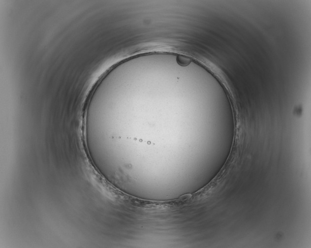 X0000114991051200911091330