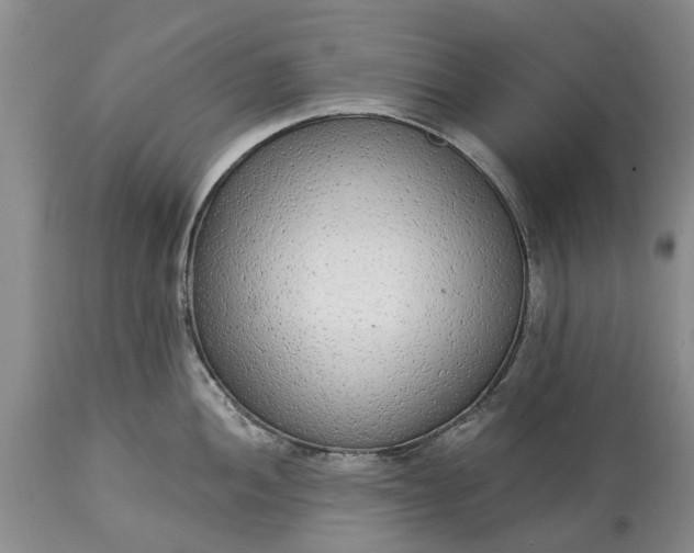 X0000114991052200911091330