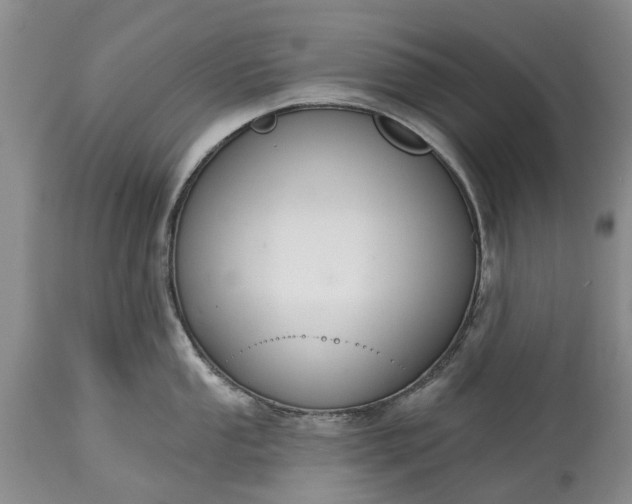 X0000114991053200911091330