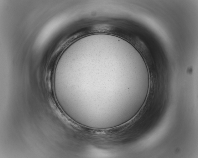 X0000114991054200911091330