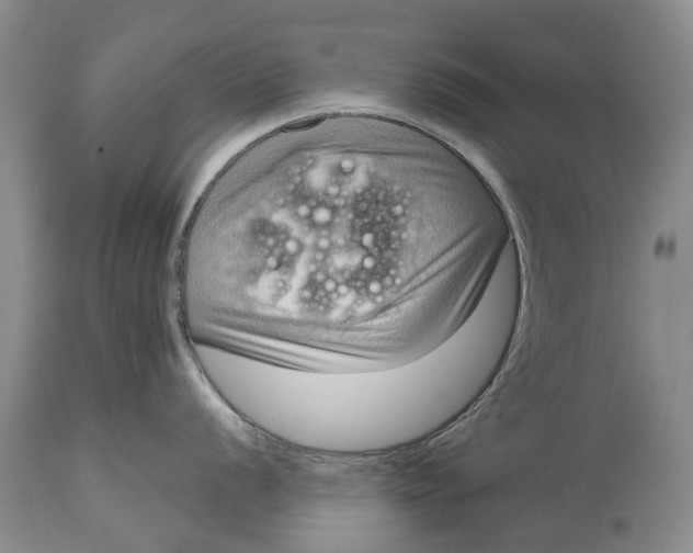 X0000114991056200911091330