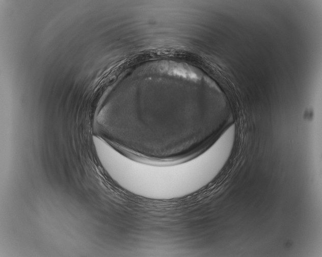 X0000114991060200911091330