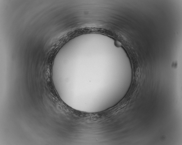 X0000114991062200911091330