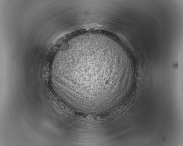 X0000114991063200911091330