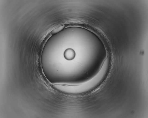 X0000114991065200911091330