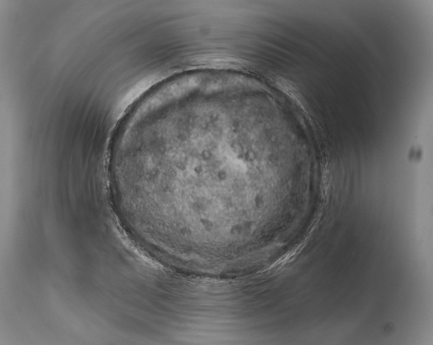 X0000114991071200911091329