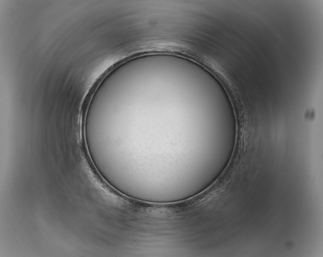 X0000114991079200911091329