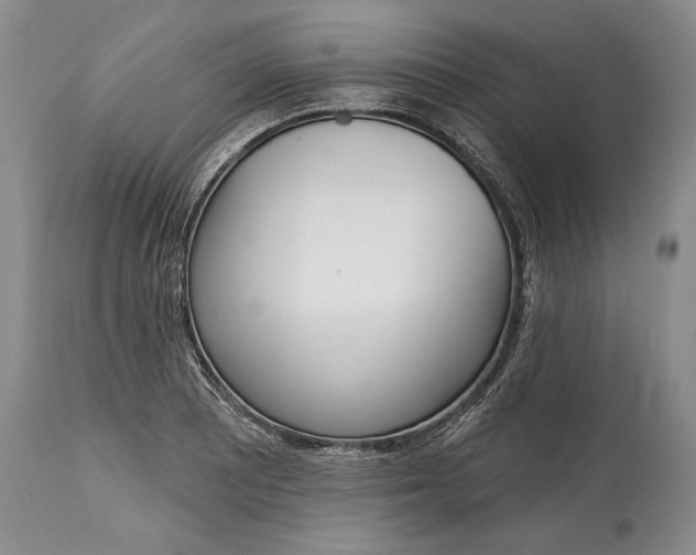 X0000114991081200911091329