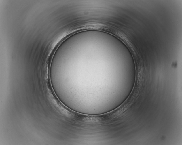X0000114991083200911091329