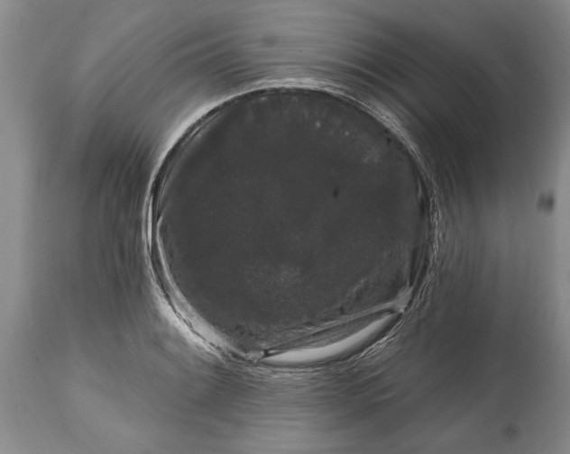 X0000114991084200911091329