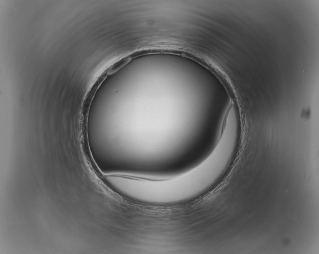 X0000114991085200911091329