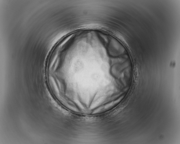 X0000114991087200911091329