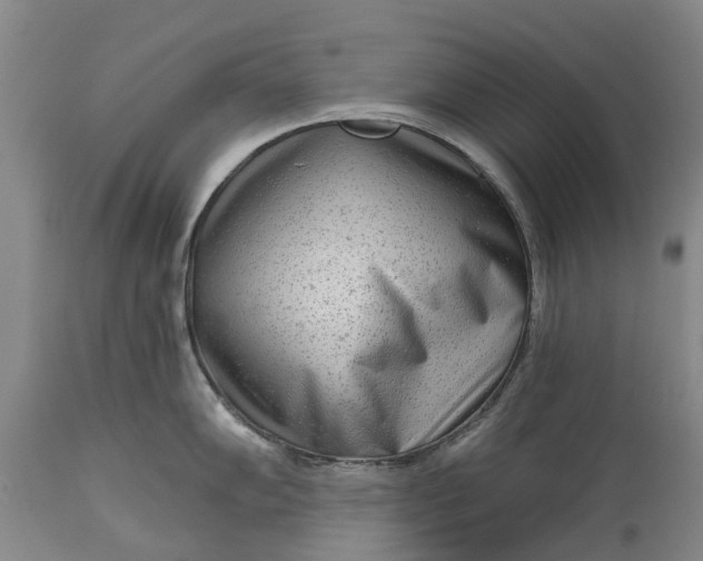 X0000114991102200911091329