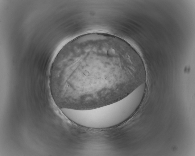 X0000114991104200911091329