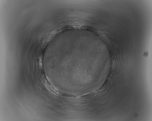 X0000114991106200911091328