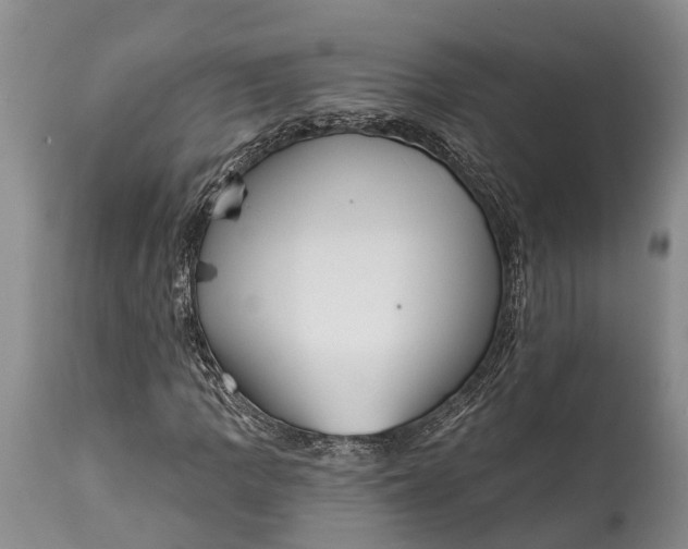 X0000114991109200911091328