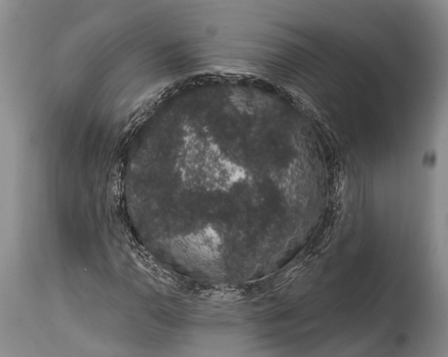 X0000114991110200911091328