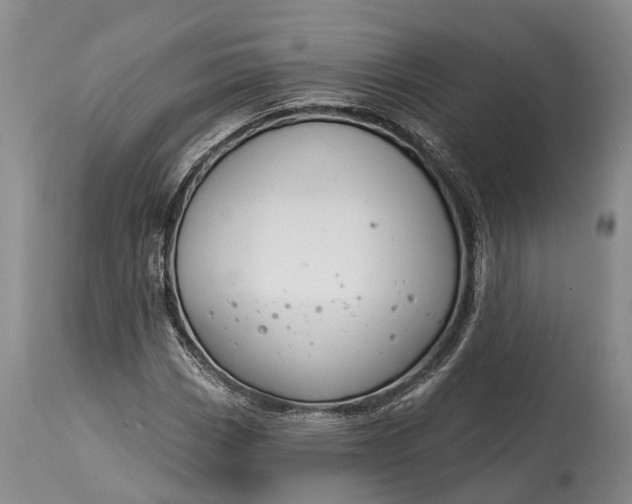 X0000114991113200911091328