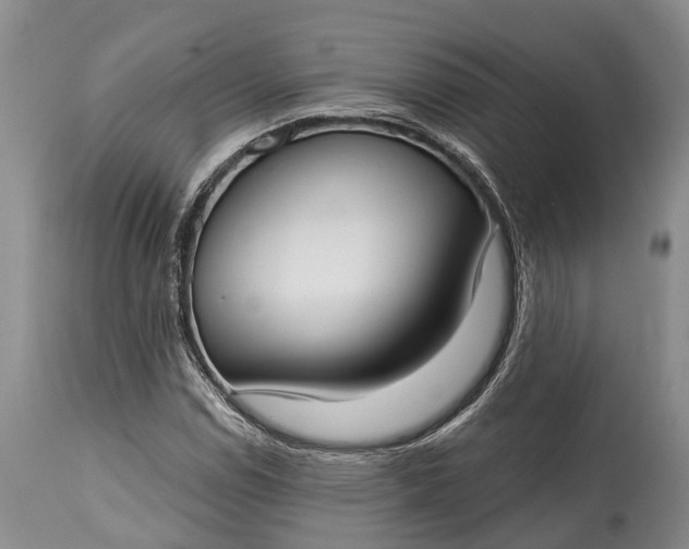 X0000114991114200911091328