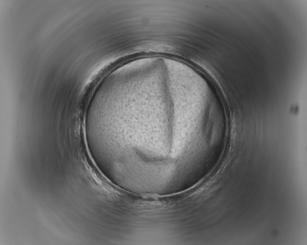 X0000114991115200911091328