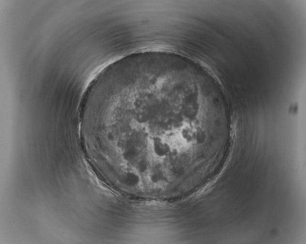 X0000114991117200911091328