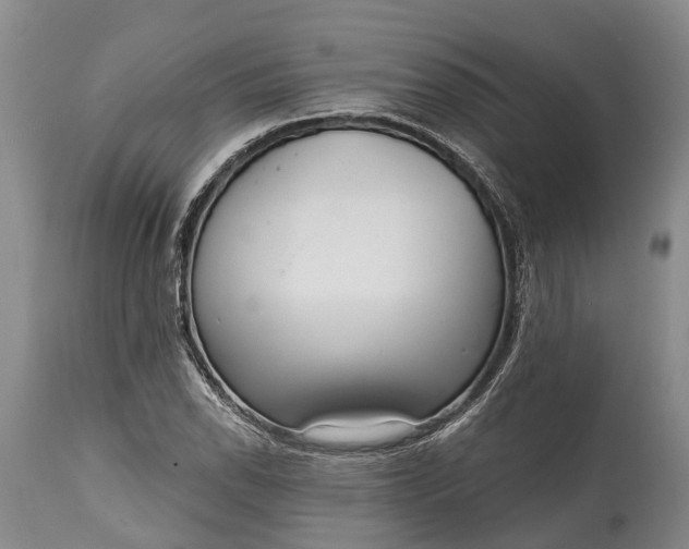 X0000114991118200911091328