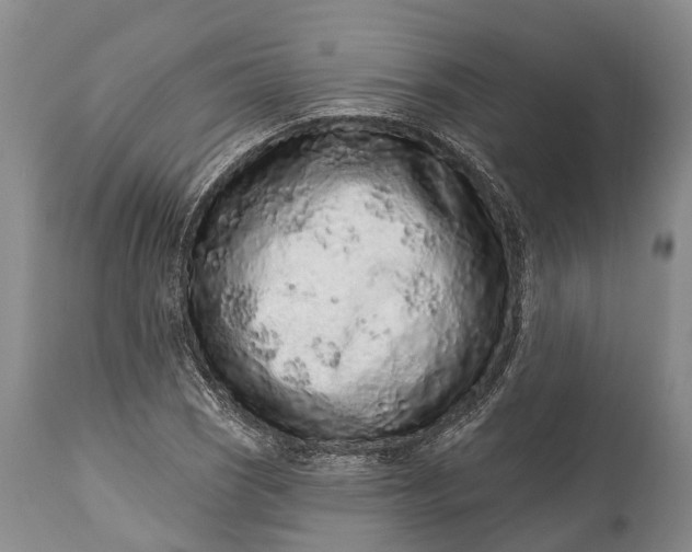 X0000114991121200911091328