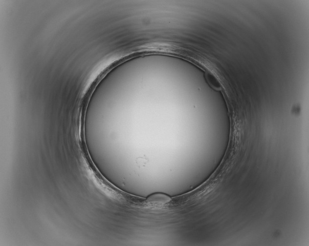 X0000114991131200911091328