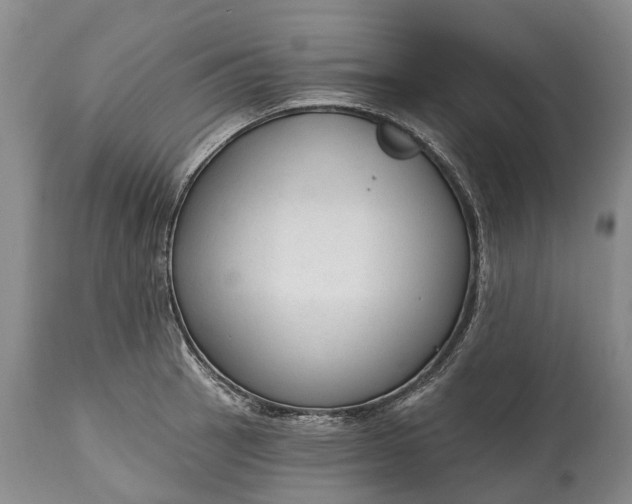 X0000114991137200911091328