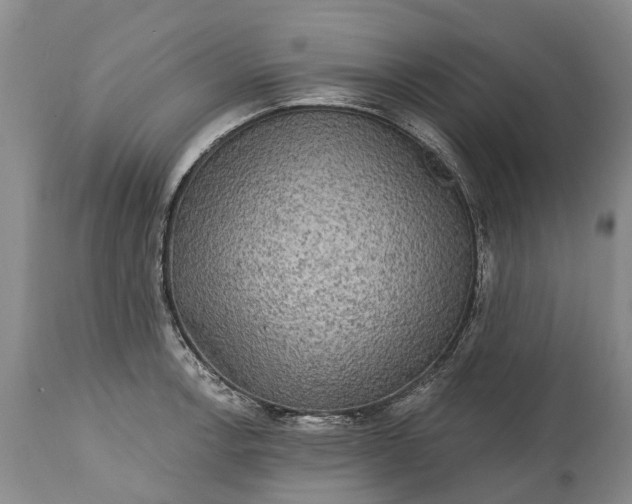 X0000114991138200911091328