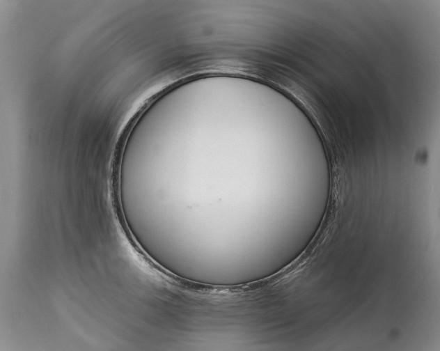 X0000114991139200911091328