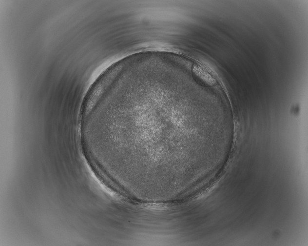 X0000114991141200911091328