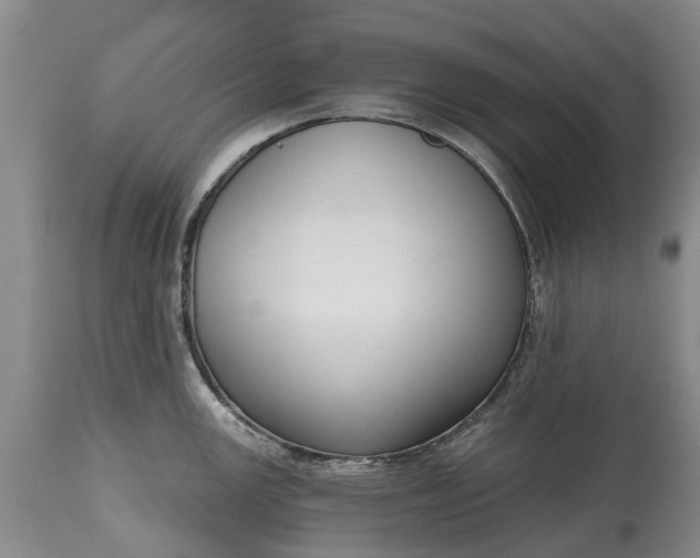 X0000114991147200911091329