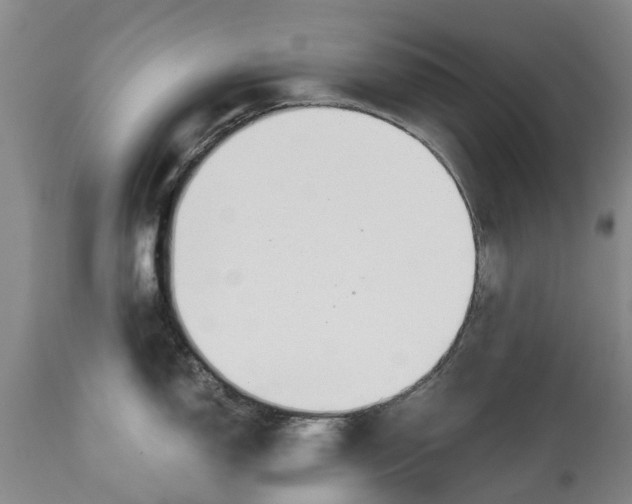 X0000114991150200911091329