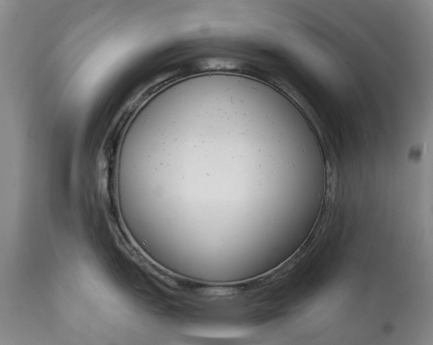 X0000114991151200911091329