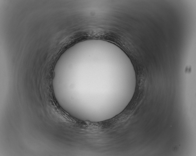 X0000114991153200911091328