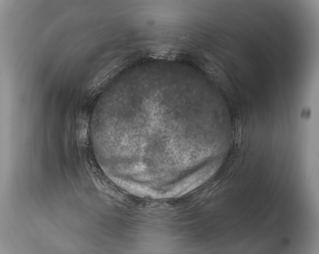X0000114991154200911091328