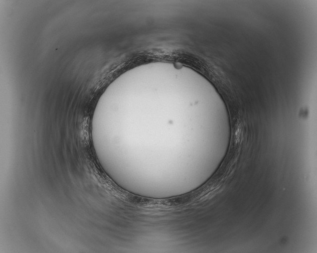 X0000114991156200911091328