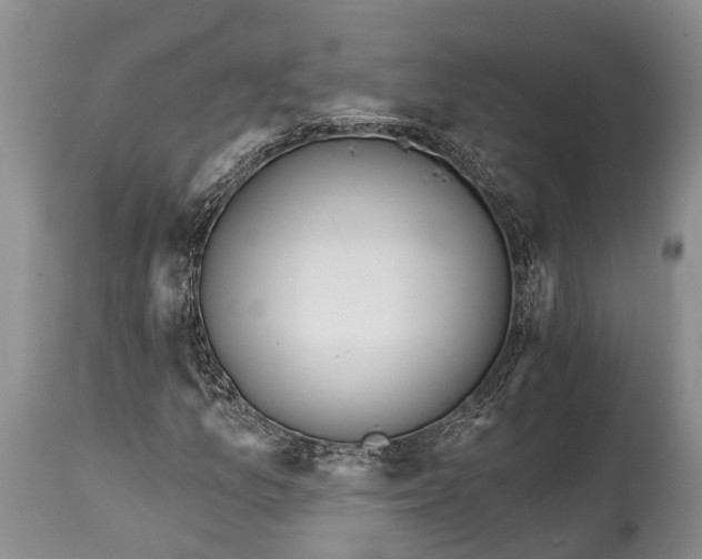 X0000114991157200911091328